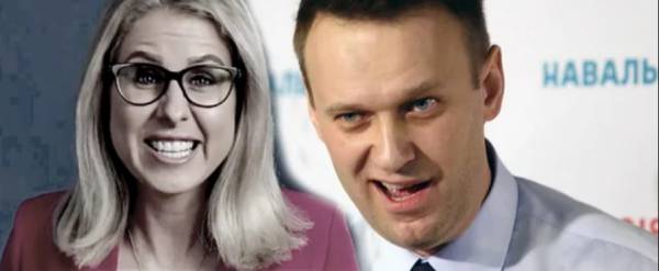 Комиссия Госдумы проверит деятельность Навального и Соболь