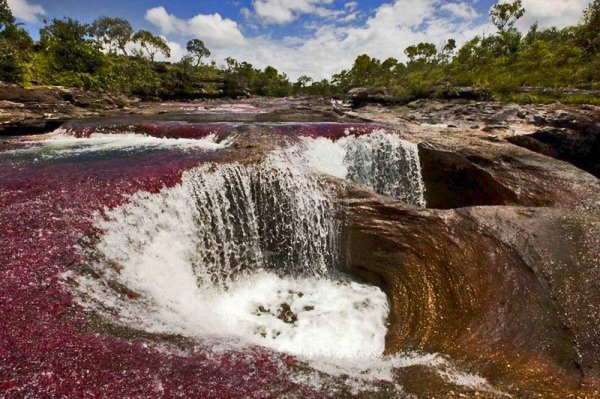 Радужная река в Колумбии (30 фото) Радужная река в Колумбии (30 фото)