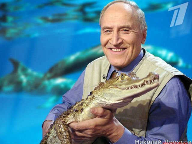 �������, ������� ���������� �����������, ������, ������