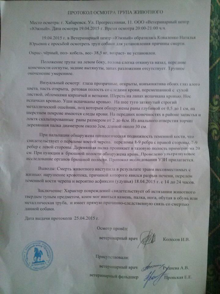 Акт клинического осмотра животного ветеринаром образец