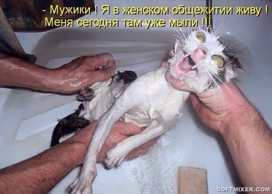 dda558d4f63e45368bf3d398537_prev