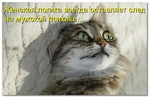 Еще раз о женской логике