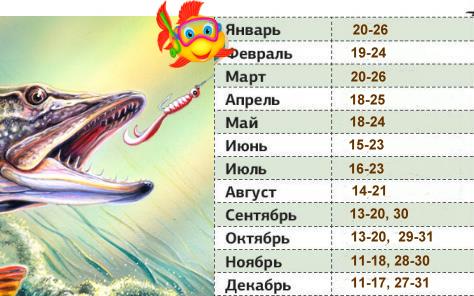 календарь ловли щуки в астрахани календарь ловли щуки в астрахани