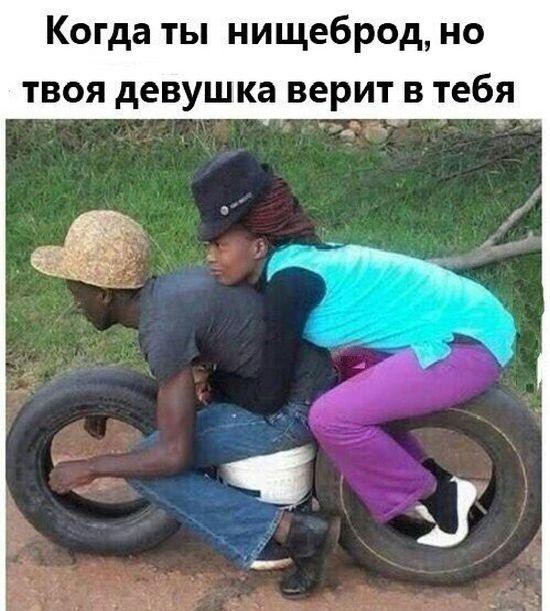 Подборка картинок Подборка картинок картинки, приколы