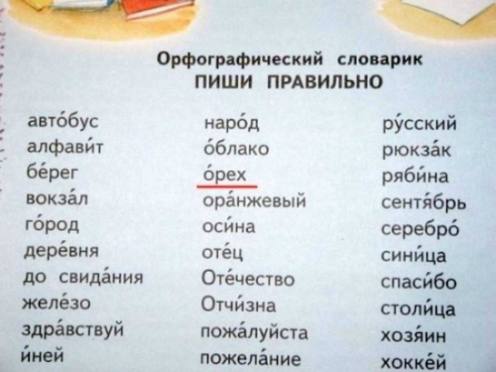 18 умопомрачительных ляпов из школьных учебников, которые заставят посмеяться от души (19 фото)