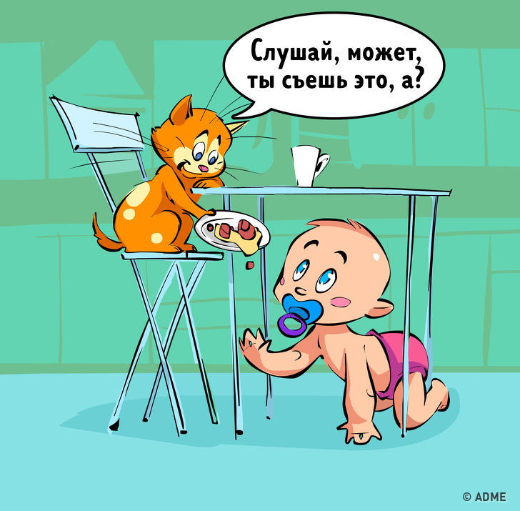Один день из жизни людей и животных, если они вдруг поменяются местами