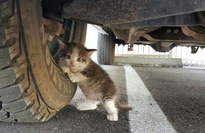 МУЖ ПРИСЛАЛ ЖЕНЕ ФОТО С ВОПР&hellip;