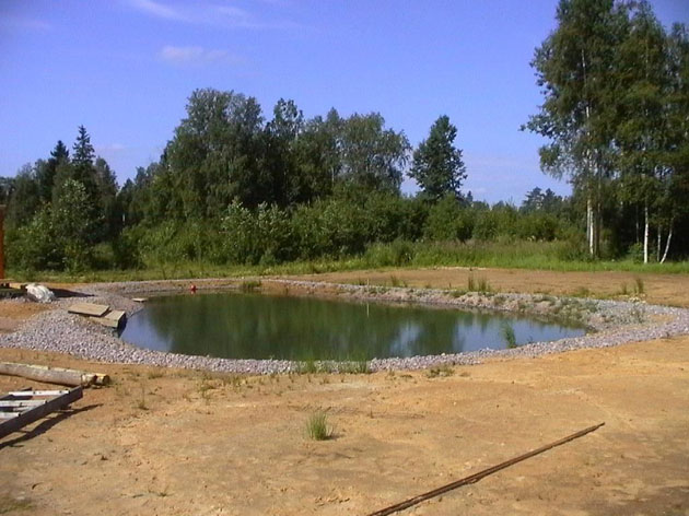 Как сделать водоем для разведение рыбы