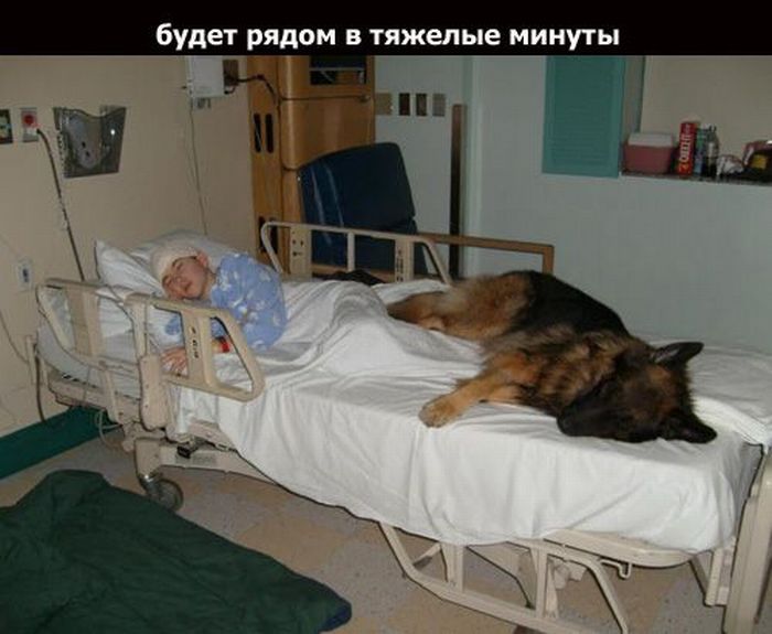 Дружба (18 фото)