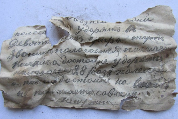 «Птичий архив» под крышей Успенского собора (48 фото)