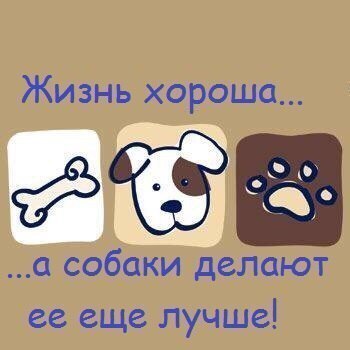 Спасаем малышей. Яся, Оскар,Ероша,Хлоя,Тиша и Боня ищут дом!!! Спасаем малышей. Яся, Оскар,Ероша,Хлоя,Тиша и Боня ищут дом!!!