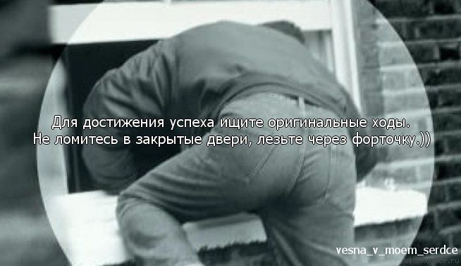 Прикольные цитаты в картинках Прикольные цитаты в картинках