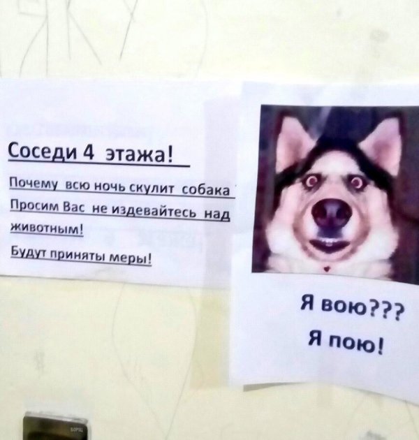 Прикольные комментарии из соцсетей