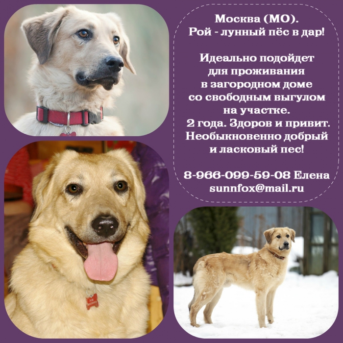 3045391_roi_3 (700x700, 324Kb)