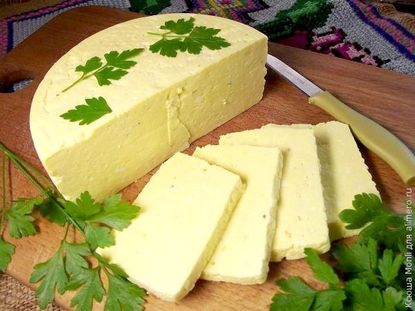 Приготовление в домашних условиях брынзы Приготовление в домашних условиях брынзы