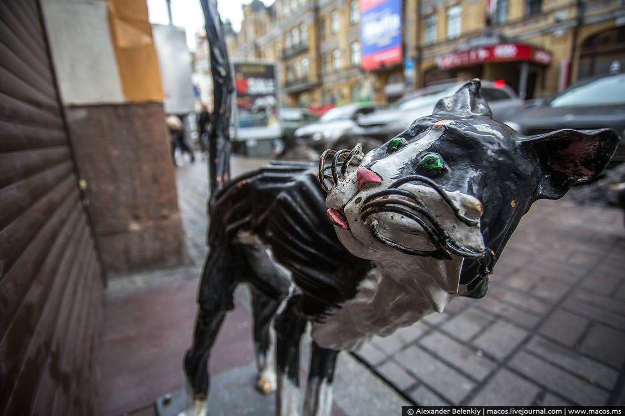 ЧТО ИЗМЕНИЛОСЬ В КИЕВЕ ЗА ДВА ГОДА ЧТО ИЗМЕНИЛОСЬ В КИЕВЕ ЗА ДВА ГОДА