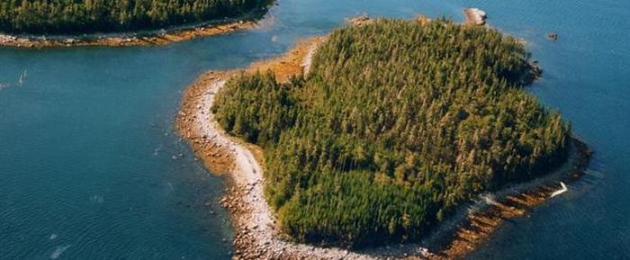 остров, квартира, сравнение, цена