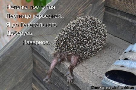   ... !