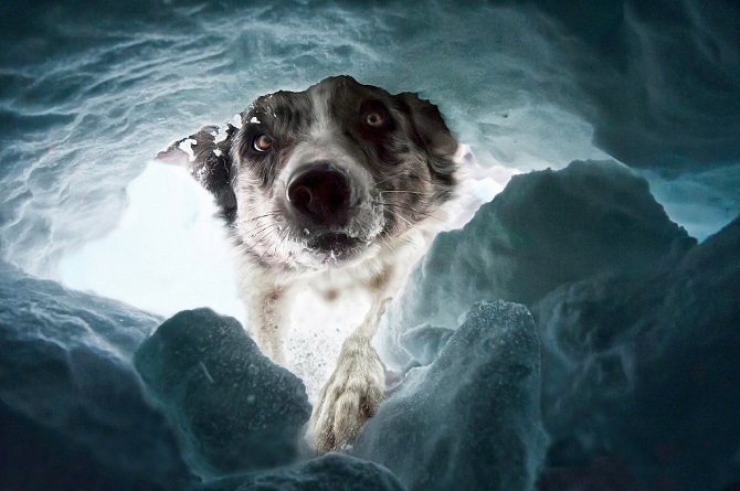 Лучшее с конкурса фотографии National Geographic 2015