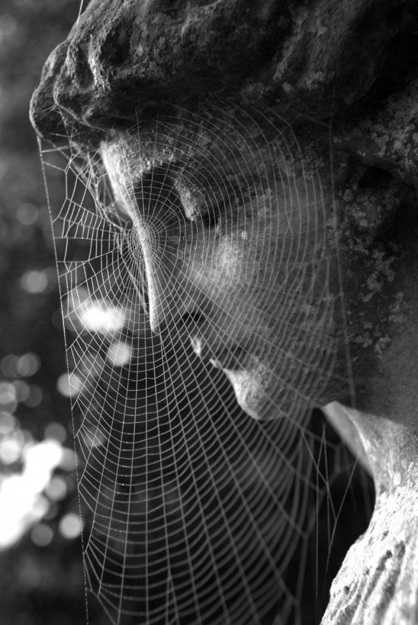 Фотографии, которые заставляют сердце остановиться Зацепило -- фотографии, которые заставляют наше сердце замереть от восхищения...