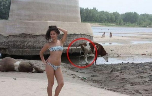 Когда попытка выглядеть сексуально на пляже провалилась с треском Когда попытка выглядеть сексуально на пляже провалилась с треском