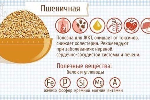 Полезные свойства каш Полезные свойства каш