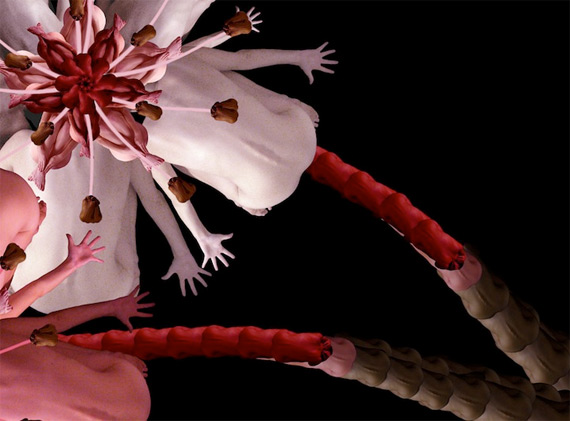 Сесилия Уэббер: Human Flowers