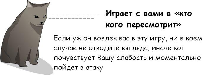 Как узнать, что ваш Кот собирается вас убить