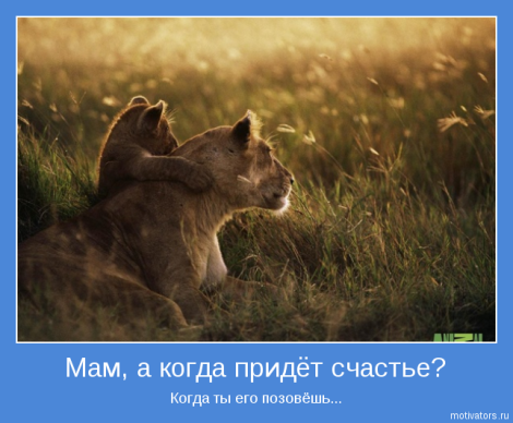 http://mtdata.ru/u24/photoDD43/20149469425-0/original.png