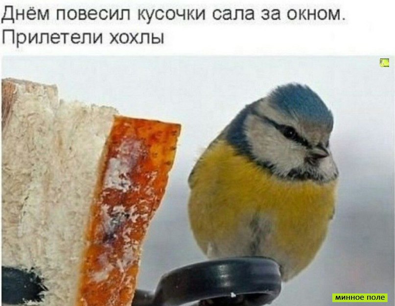 Немного ехидства, сарказма, стёба и даже чистого юмора вам в ленту!!! Немного ехидства, сарказма, стёба и даже чистого юмора вам в ленту!!!