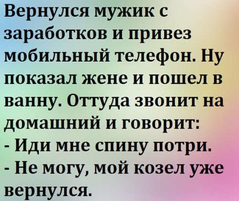 Прихожу домой, а в ванной страус. Потом пригляделся... Прихожу домой, а в ванной страус. Потом пригляделся...