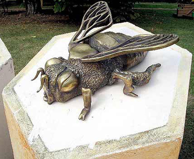 �������� ����� ����