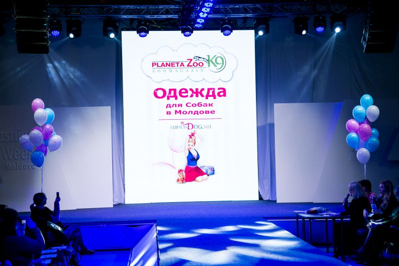 Забавный Backstage шоу маленьких собачек на на «Artpodium 2015» Забавный Backstage шоу маленьких собачек на на «Artpodium 2015»