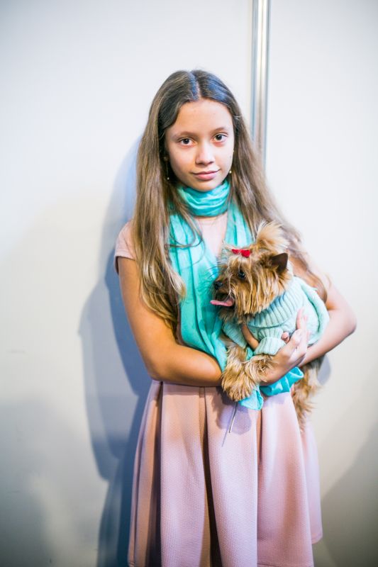 Забавный Backstage шоу маленьких собачек на на «Artpodium 2015» Забавный Backstage шоу маленьких собачек на на «Artpodium 2015»