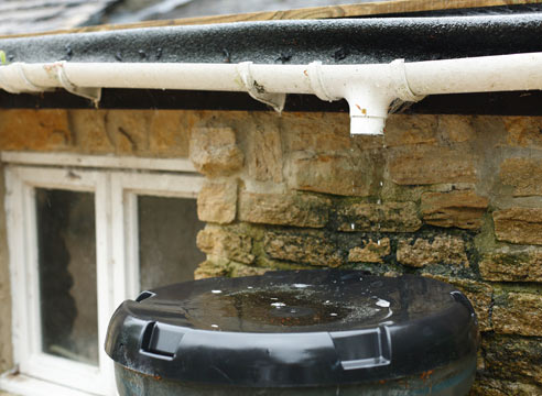 Полив: как правильно?