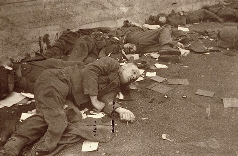 Резня в концентрационном лагере Дахау . Германия 1945 г. ( +18 )