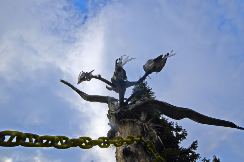 интересное, фото