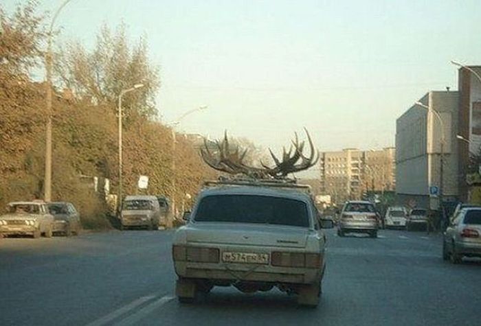 Такое увидеть можно только в нашей стране!