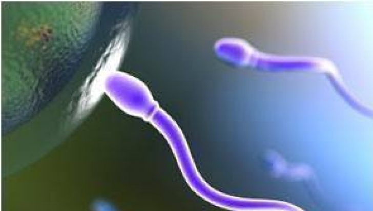 More Sperm On Viagra