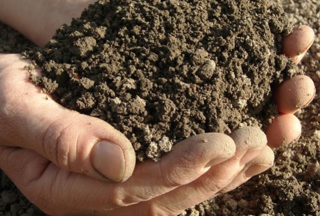 2 способа проготовления почвы для рассады: позаботимся об этом летом