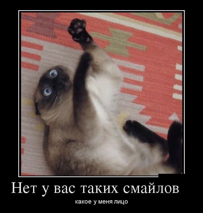 Демотиваторы юмор, демотиваторы