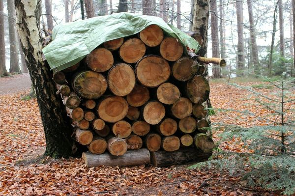 Дрова нужно укрыть от непогоды Дрова нужно укрыть от непогоды
