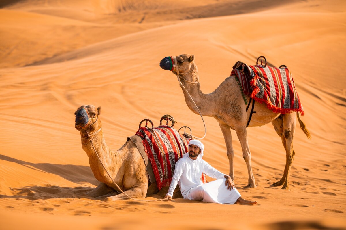 Великая Сахара: пустыня – от слова «пустой». Так ли это?