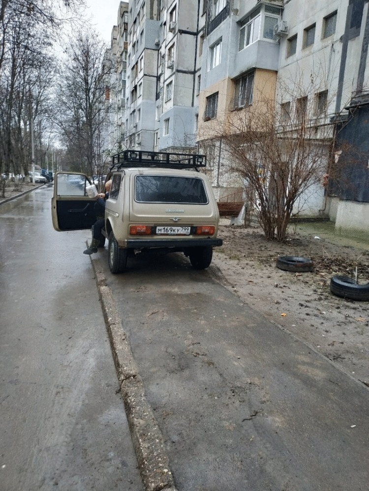 Вот хозяева двора, в голове у них дрова