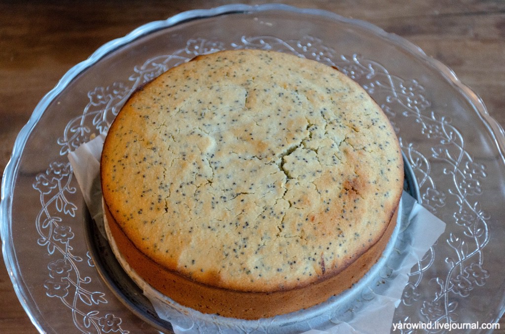 DSC_9932.jpg DSC_9932.jpg