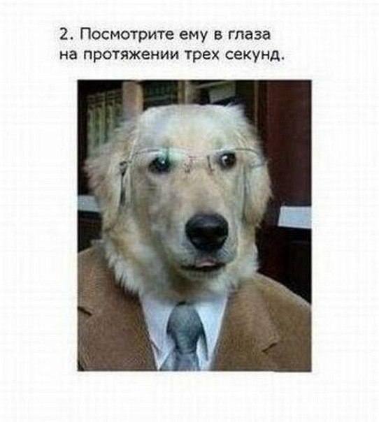 "Загадай карту"