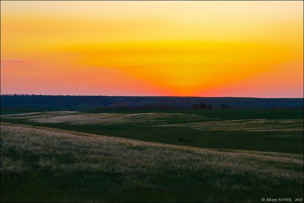 Фотопрогулки. Закат в ковыле Фотопрогулки. Закат в ковыле