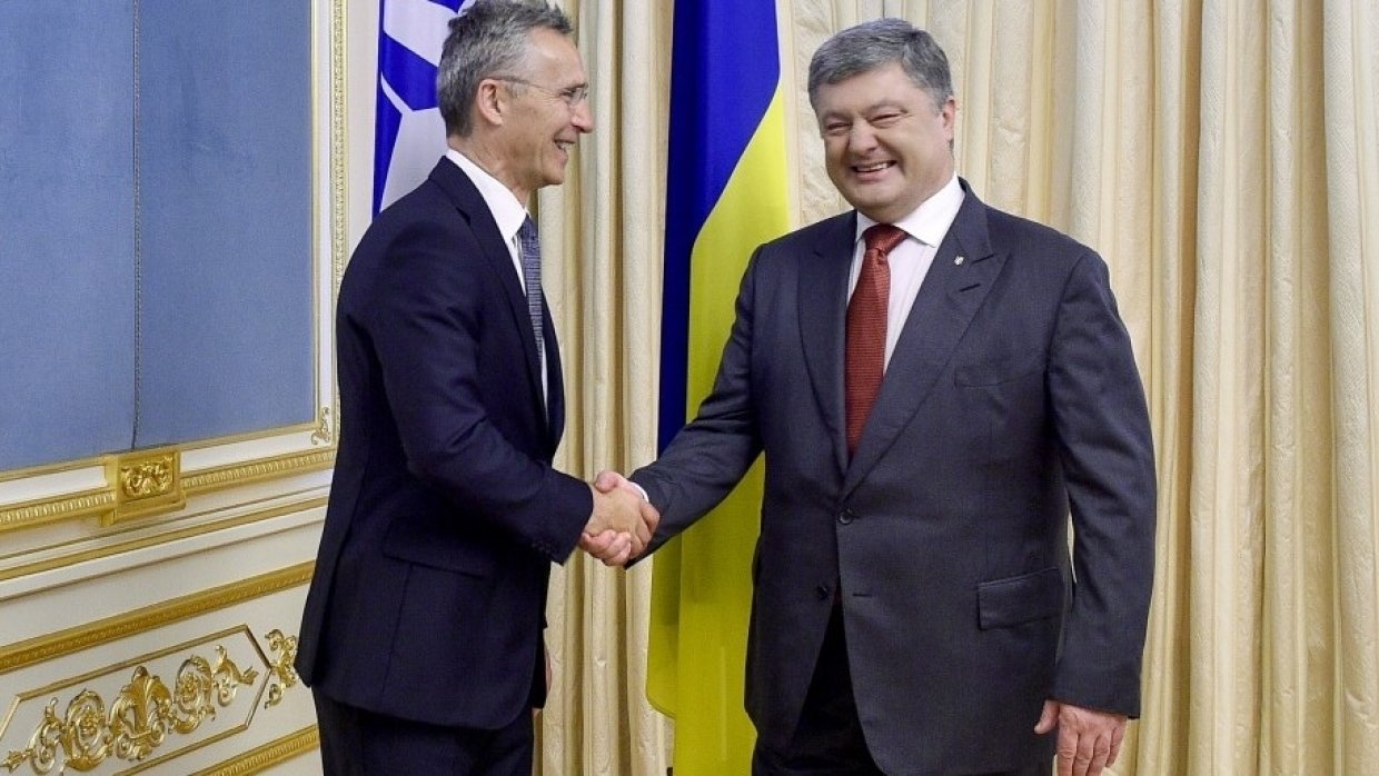 Референдум о вступлении в НАТО расколет Украину ― бывший вице-премьер