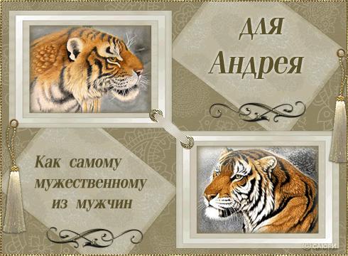 Поздравления по имени для андрея Поздравления по имени для андрея