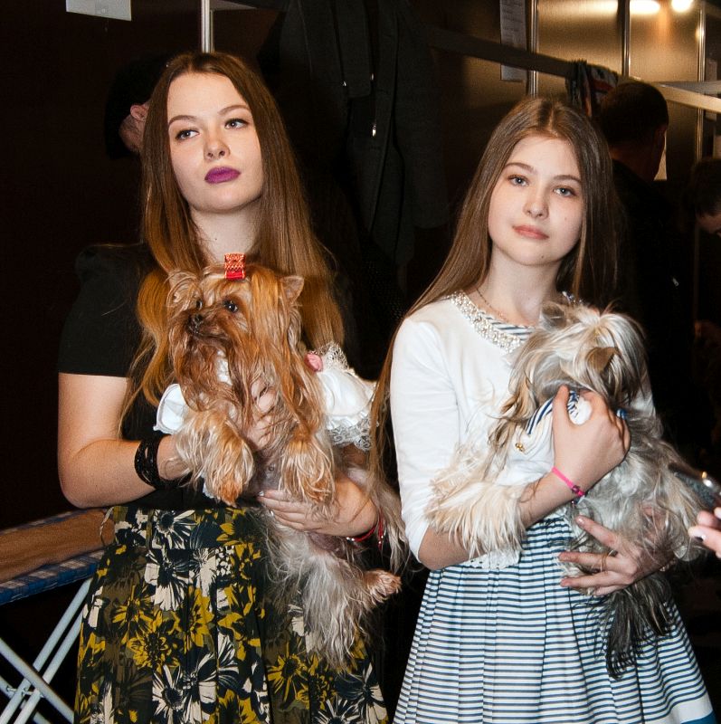 Забавный Backstage шоу маленьких собачек на на «Artpodium 2015» Забавный Backstage шоу маленьких собачек на на «Artpodium 2015»